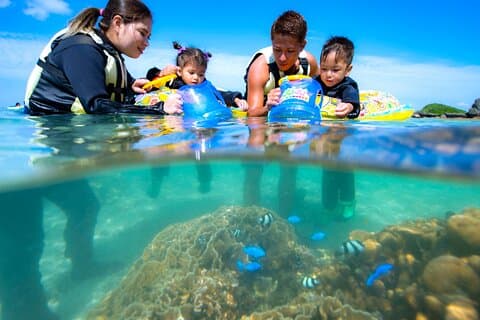 OK from 2 years old! / Sea picnic & snorkel