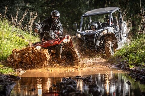 Tour de 3 heures en Buggy ou Quad en Algarve