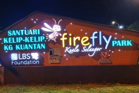 Fireflies Kuala Selangor & Batu Caves (With Fireflies Tickets)
