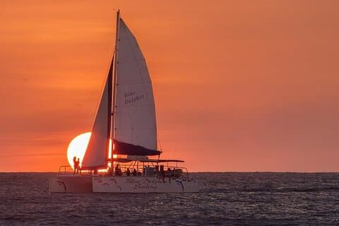 Blue Dolphin - Private Catamaran Tour - Tamarindo