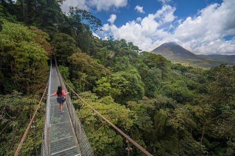 Mistico Hanging Bridges Tour with Lunch and Hotsprings
