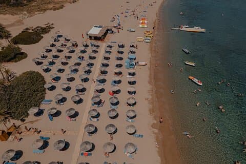 Ierapetra-Makrigialos: Vai Palm Beach, Moni Toplou & Sitia Tour