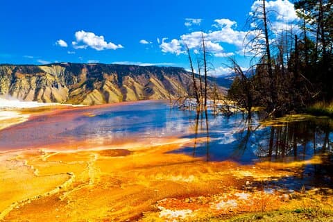 Excursión de 7 días a Yellowstone,Grand Teton,Antílope Canyon&Vegas