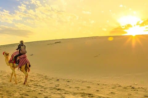Privat Sunrise Safari Tour i Abu Dhabi med kameltur