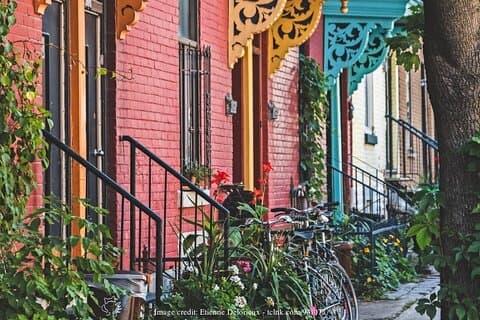 Plateau Mont Royal e The Mile End: tour a piedi privato di 2,5 ore