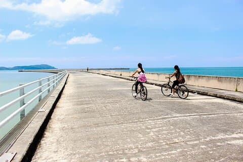 Excursão de bicicleta privada de meio dia em Langkawi