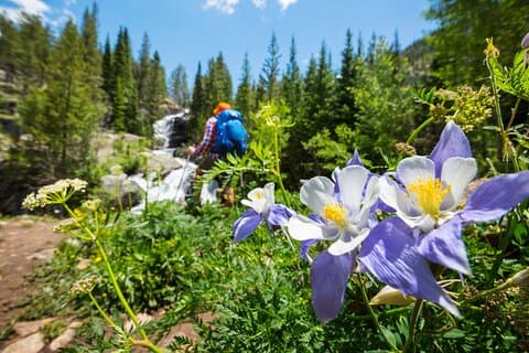 Guidad naturskön bergsvandring nära Breckenridge - Halvdag