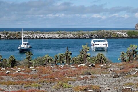South Plazas und Punta Carrion Tagestour: Landleguane & Schnorcheln