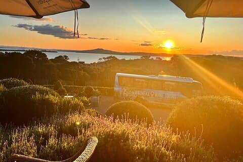 Auckland: Waiheke Island Golden Evening Wine Tour & Sunset Dining