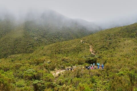 8-daagse Kilimanjaro klim privétour - Lemosho-route