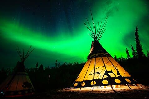 Descubra Whitehorse com Northern Lights e Yukon Wildlife Tour