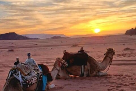 Découvrez la Jordanie en 2 jours : Petra, Wadi Rum, Aqaba et visite de la mer Morte