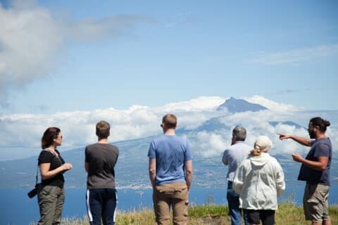 Excursión privada de día completo a Faial