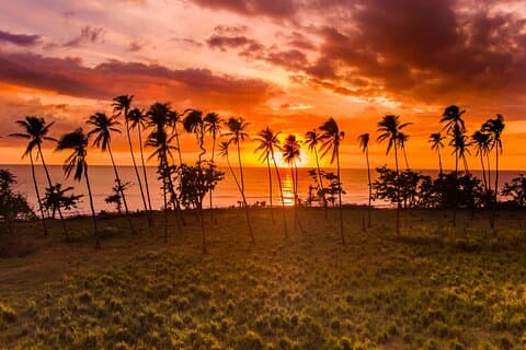 Rincon Tour Sunset & Nightlife Experience