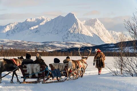 Reindeer Sledding and Feeding with Sami Culture in Tromso