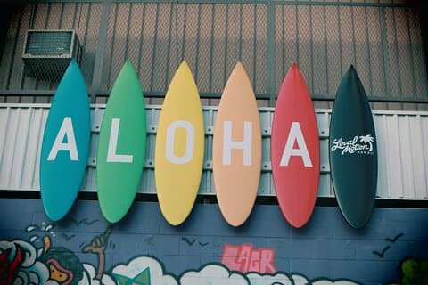 Hawaii, Oahu 1-dagars lokal rundtur