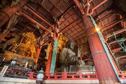 Från Kyoto : Nara Historia Guidad Halvdagstur med buss med lunch