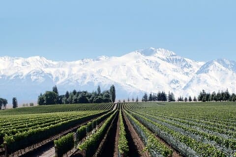 Dia Completo de Visita Guiada Privada por Vinicolas de Mendoza