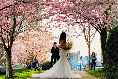 Vancouver City Tour med Cherry Blossom Festival Private