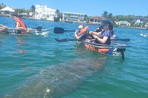 Excursão de um dia com fundo de vidro transparente em caiaque - Sarasota