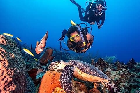 Kemer Scuba Diving Experience med lunch och transfer