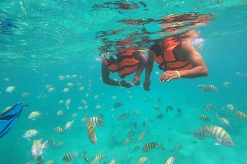 Halvdags snorkelkrydstogt og naturlig pool med åben bar