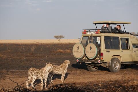 Excursión privada de safari de rango medio de 8 días a Tanzania