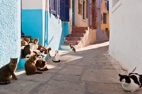 Day Trip to Nisyros Island