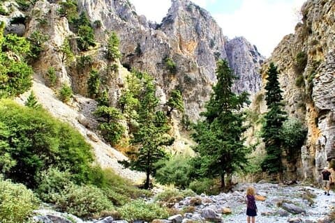 Visite des gorges d'Imbros depuis Réthymnon