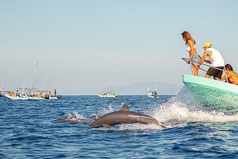 Sunrise with stars and Dolphin sighting in Puerto Escondido!