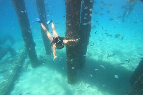 Aventura de snorkel en arrecifes de coral con fotos y videos