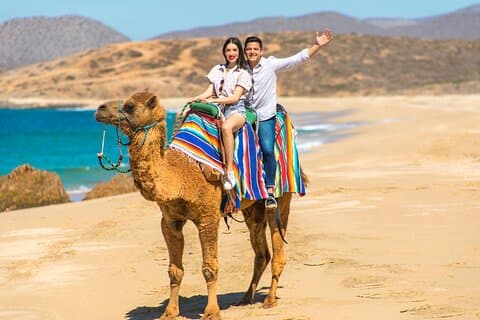 2-timmars Camel Ride Beach and Desert Adventure Experience