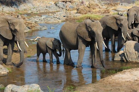 3-tägige Camping-Safari Tarangire, Lake Manyara und Ngorongoro-Krater