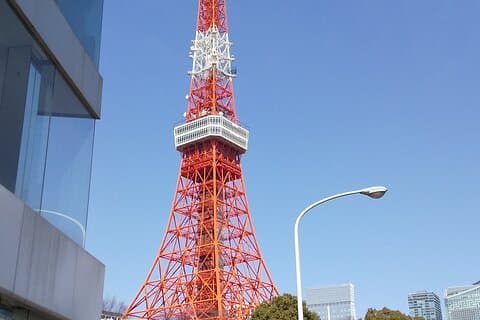 Recorrido privado por Tokio en taxi alquilado con guía japonés certificado