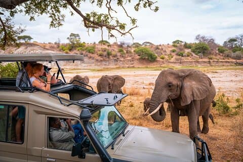 4 Tage Abenteuercamp Safari nach Tarangire Serengeti und Ngorongoro