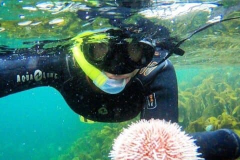Family Snorkeling Tour