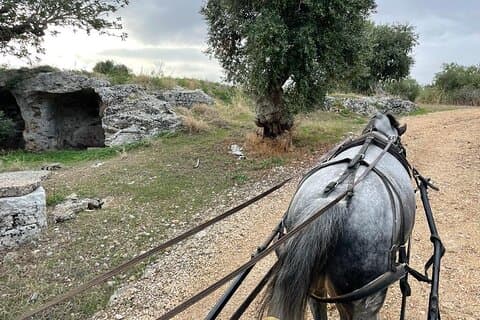 Passeios a cavalo pela zona rural da Apúlia