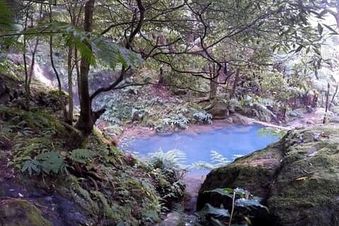 Lagoa do Fogo: Biologist-guided Volcano Geo e-Tour +Hot Springs
