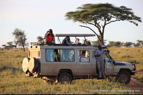 Safari in campeggio di 5 giorni nel Serengeti