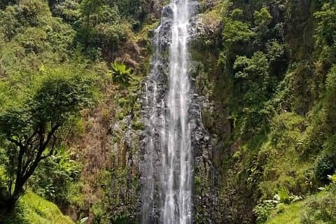 Berg Kilimandscharo Tageswanderung Materuni Wasserfall