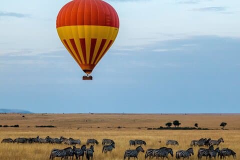 6-dagers privat mellomtone-tur i Tanzania Safari