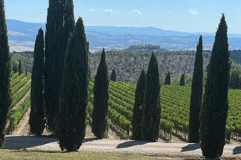 Discover Brunello Wines with DiWine Experience