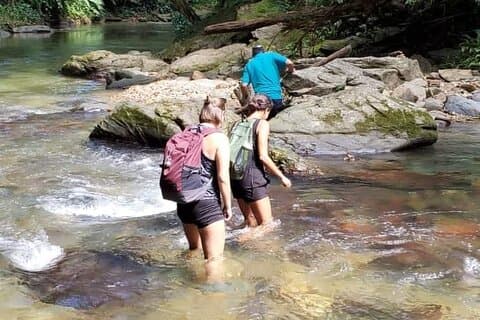 Avocat Waterfall and Maracas Bay Experience