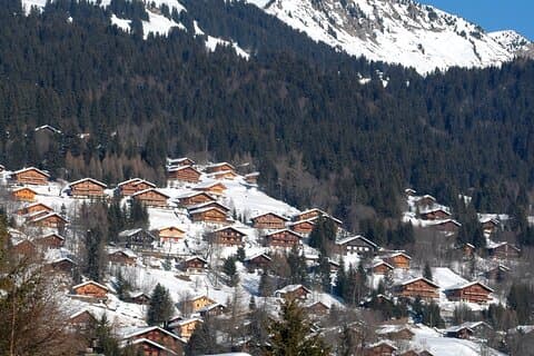 Visite privée aux Diablerets et Montreux
