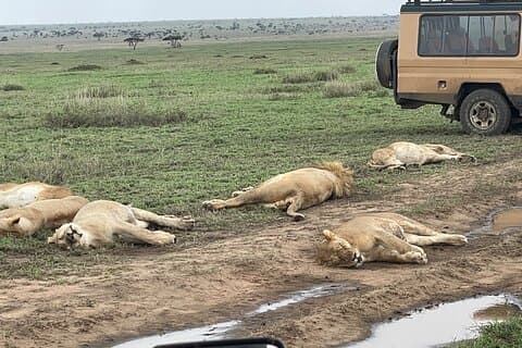 Tænd for landsbyvandhaner med luksussafari-eksklusiv oplevelse
