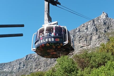 Private Table Mountain Cape Point & Penguins Inc Alle Tickets FD