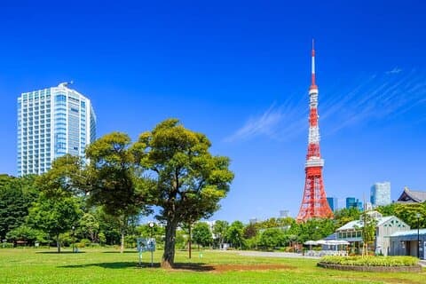 Transfer privato per tour di un giorno personalizzato a Tokyo