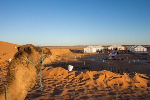 5 dages privat tur fra Casablanca til Marrakech via fes Sahara