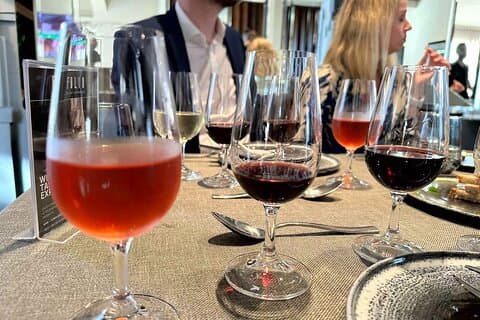 1-Hour Wine Tasting Experience in Protara