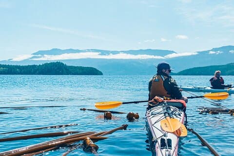 Vancouver Island: Kayak tur fra Telegraph Cove